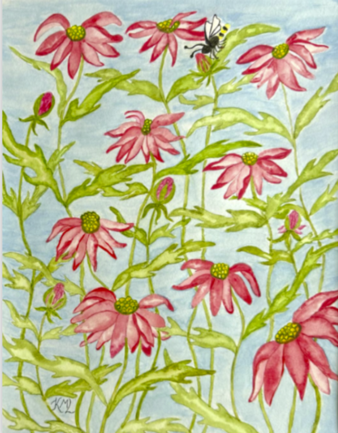 Painting Watercolor Flower Aster Pink Red Art