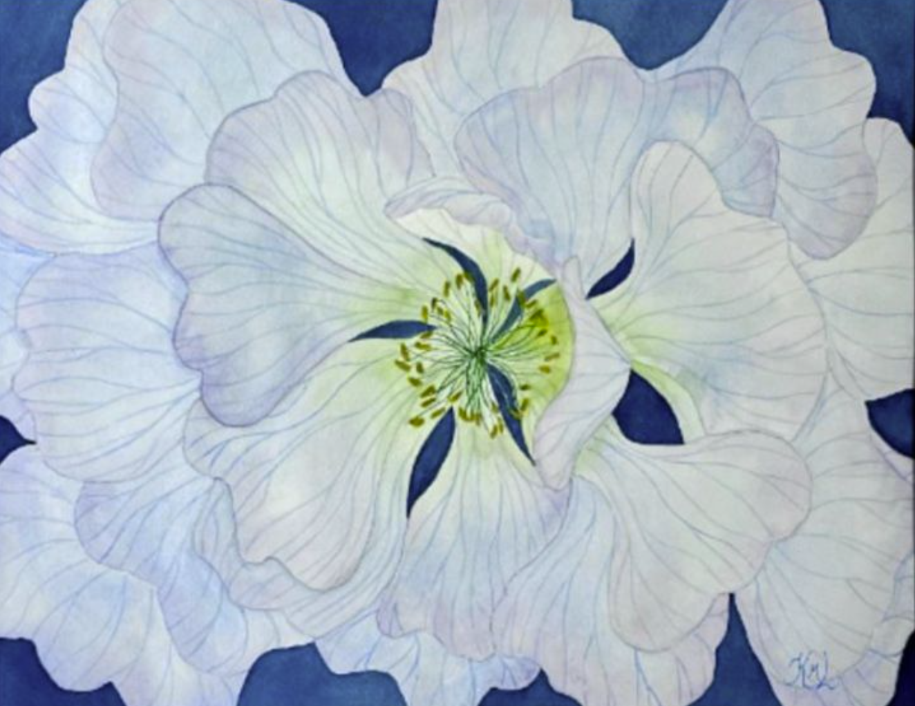 Painting Watercolor Flower Anemone Blue Lavender