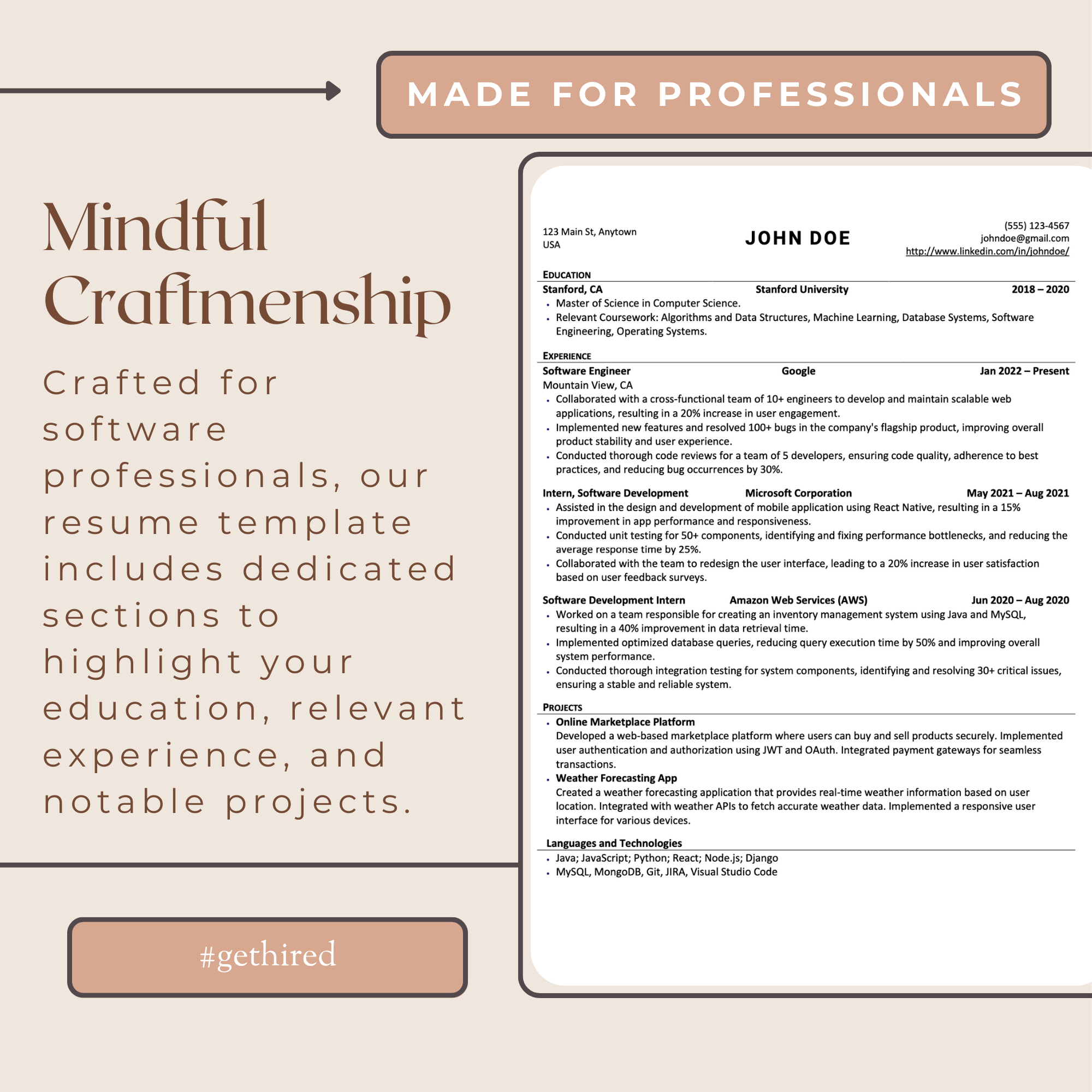 Professional Software Resume Template