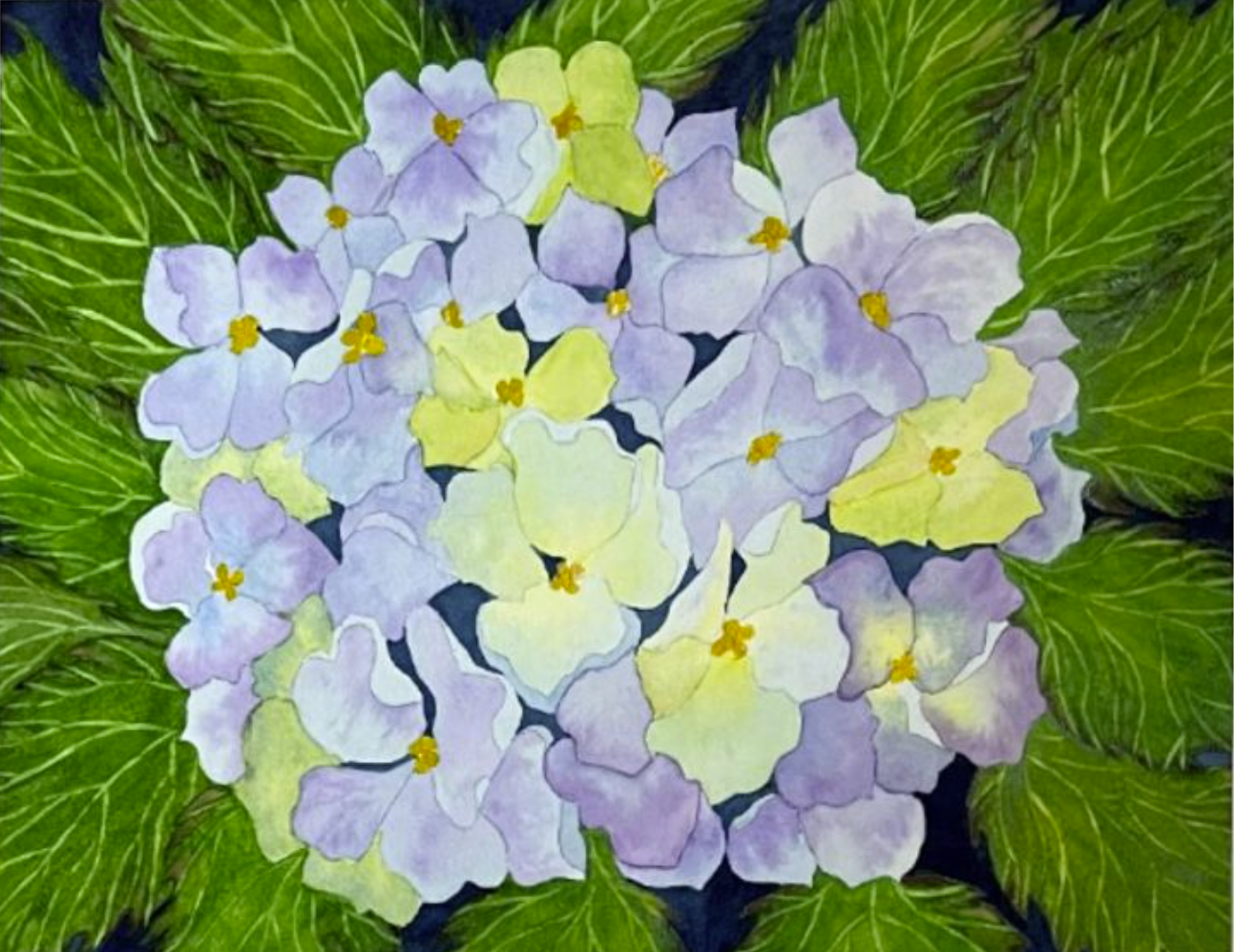Painting Watercolor Flower Hydrangea lavende Blue