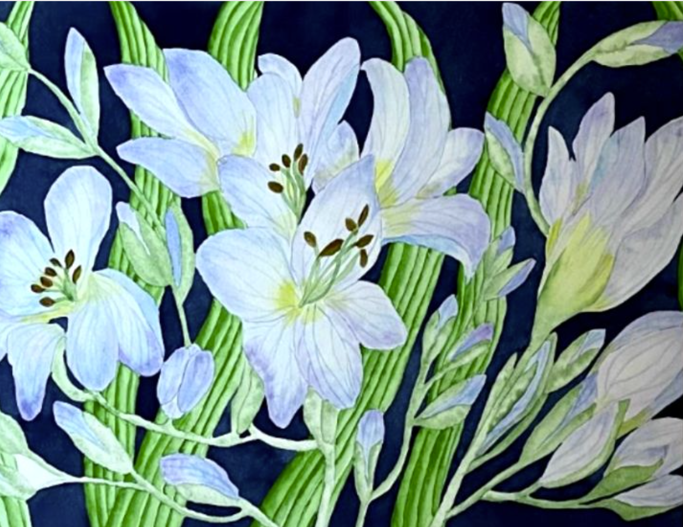 Painting Watercolor Flower Freesia Blue Purple Art