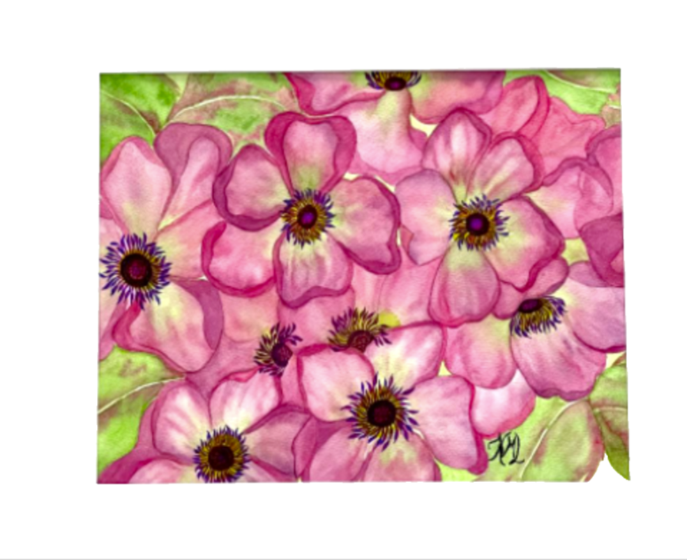 Painting Watercolor Flower Anemone Pink Floral Art