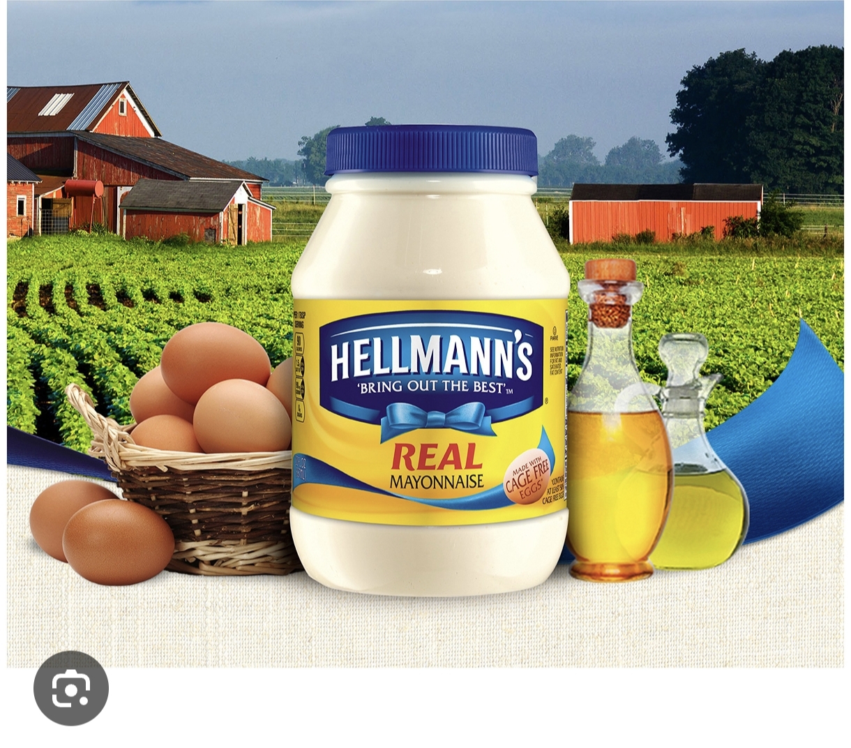 HELLMANN'S