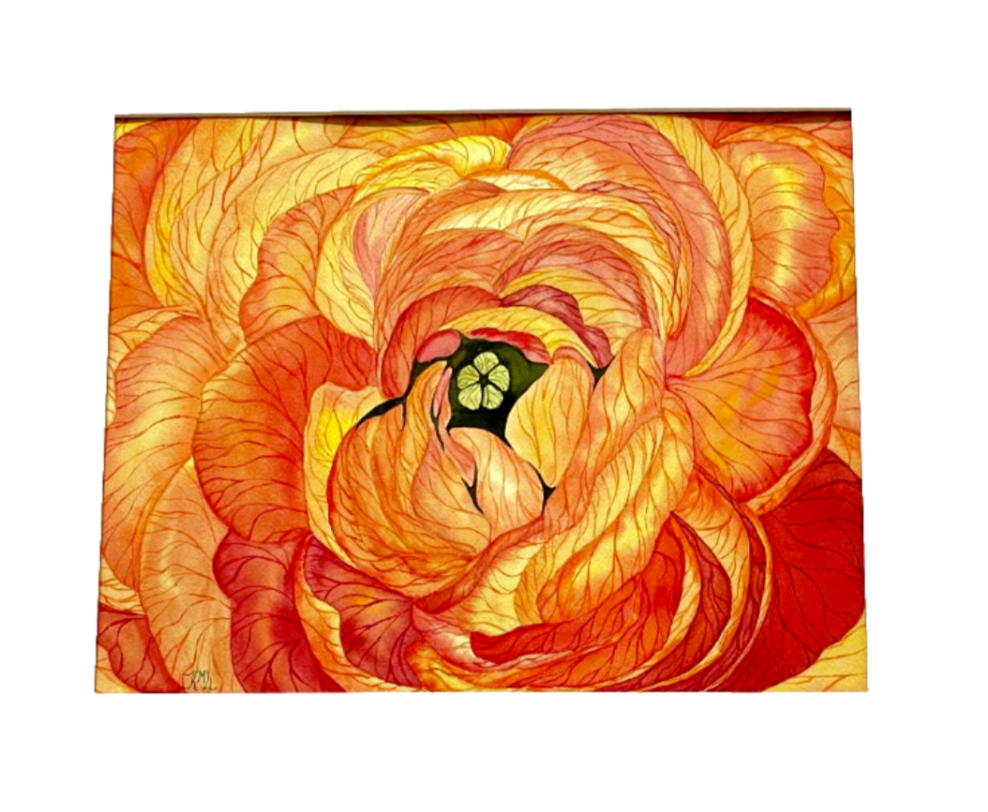 Painting Watercolor Flower Ranunculus Orange Art