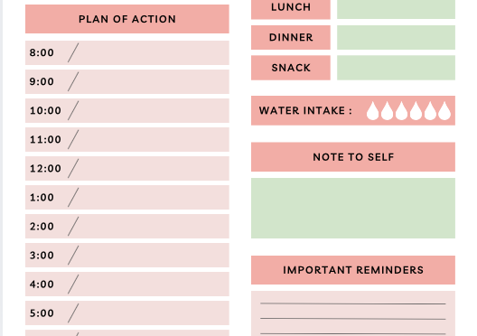 Elegant Printable  Daily Planner