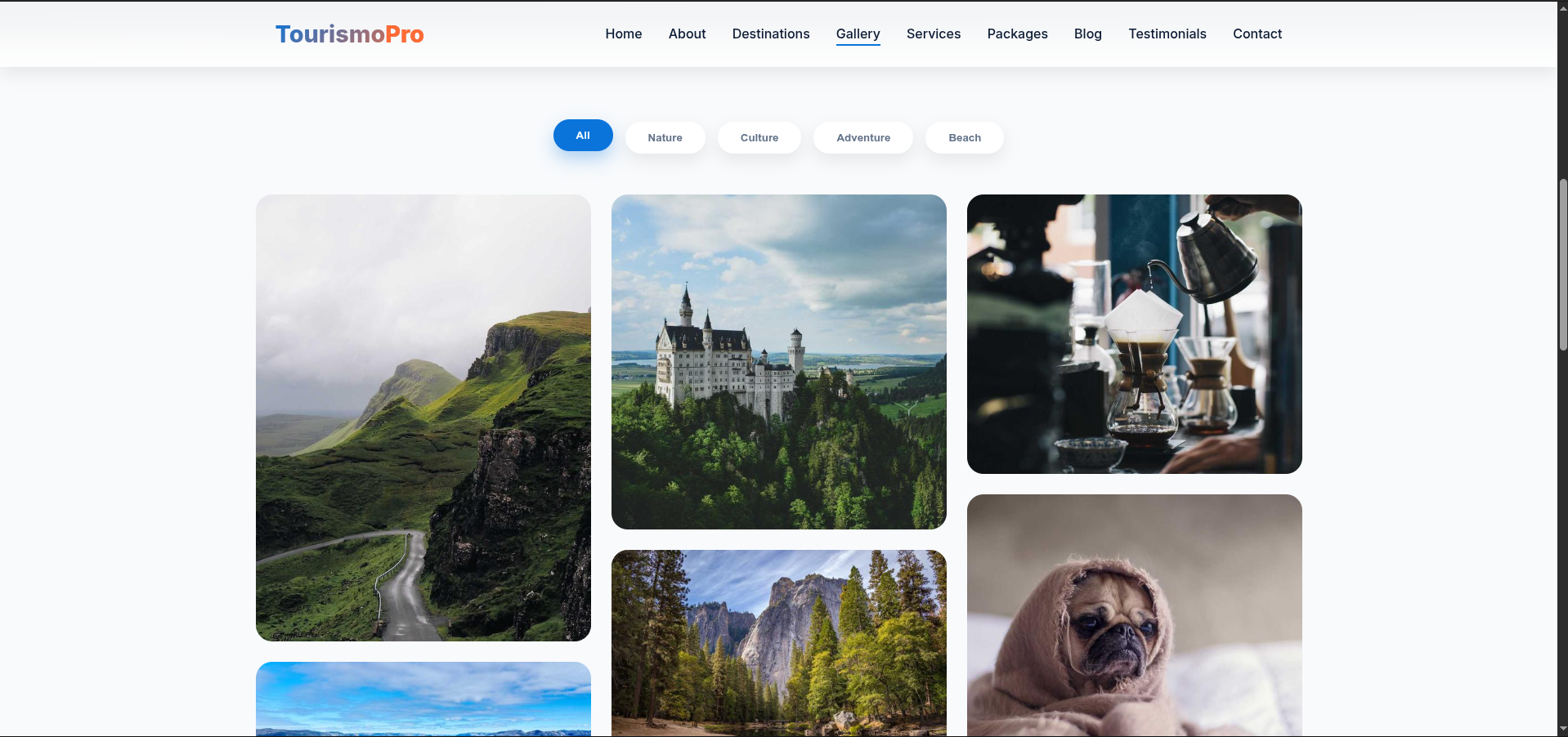 TourismPro