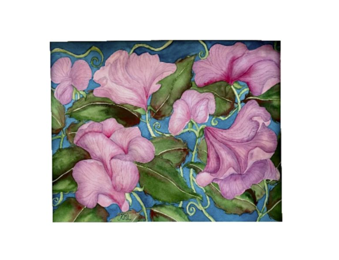 Painting Watercolor Flower Sweet Pea Pink Lavender