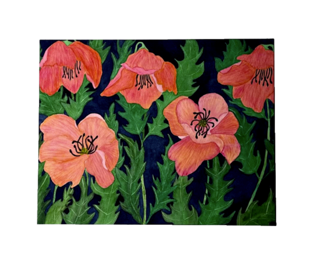 Painting Watercolor Poppy Pink Orange Coral Art
