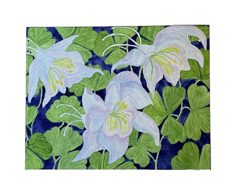 Painting Watercolor Flower Columbine Purple Blue