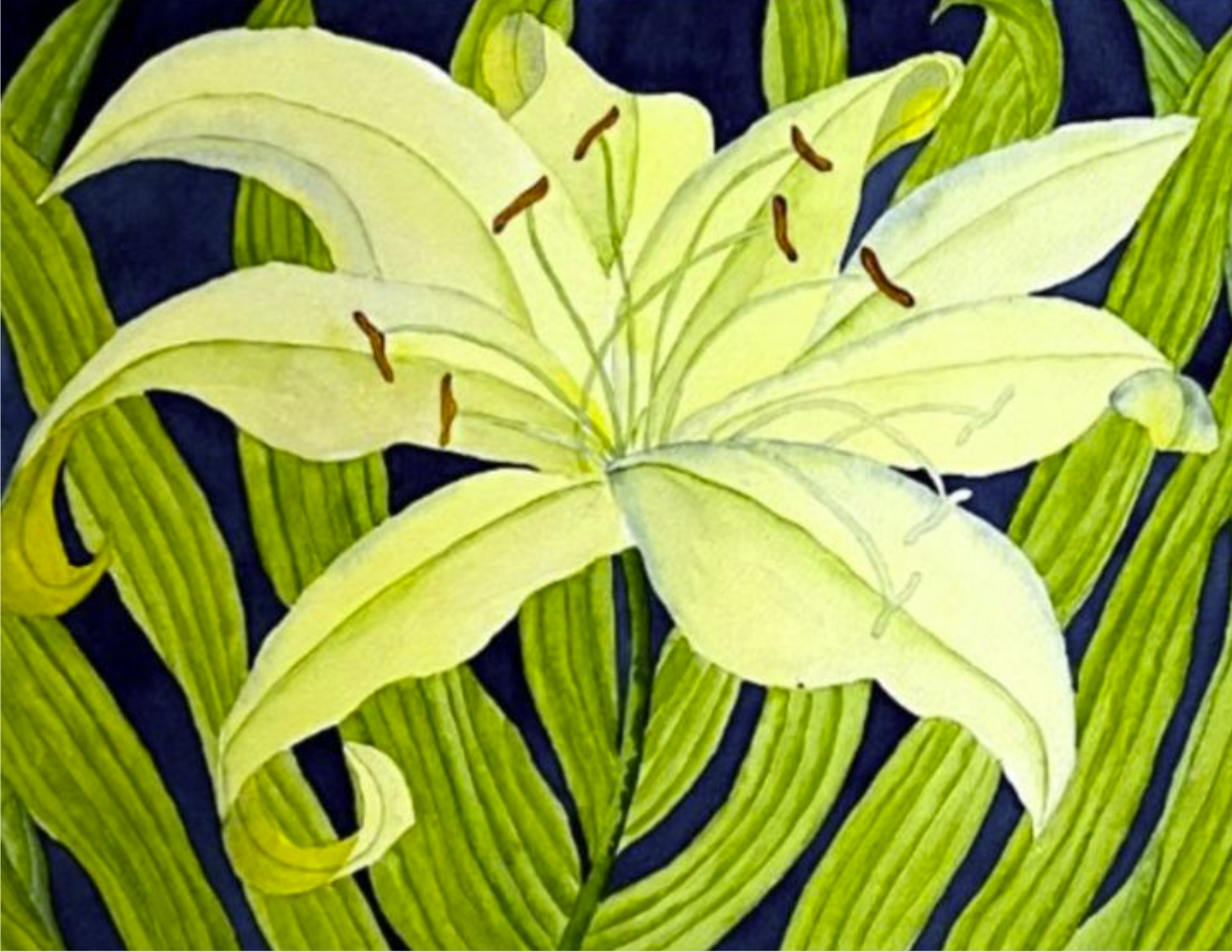 Painting Watercolor Flower Lily Yellow Green Art
