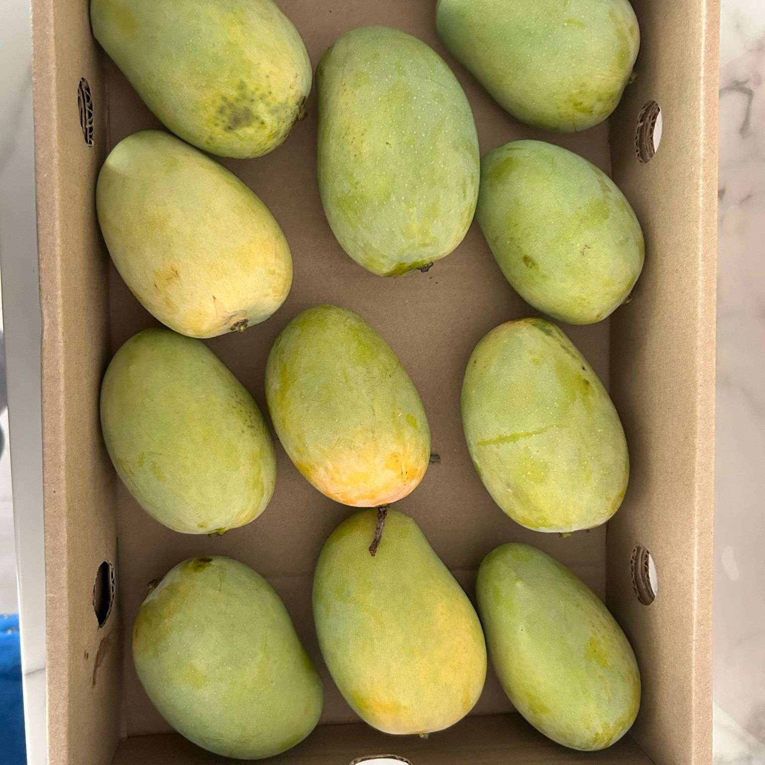 Kesar Mangoes Box of 11/12: Pick Up Apr 24