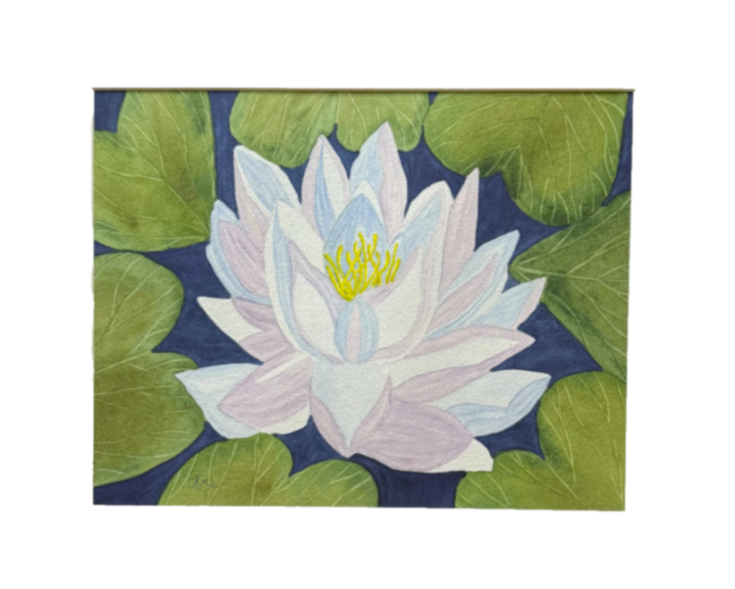 Painting Watercolor Flower Water Lily Purple Blue