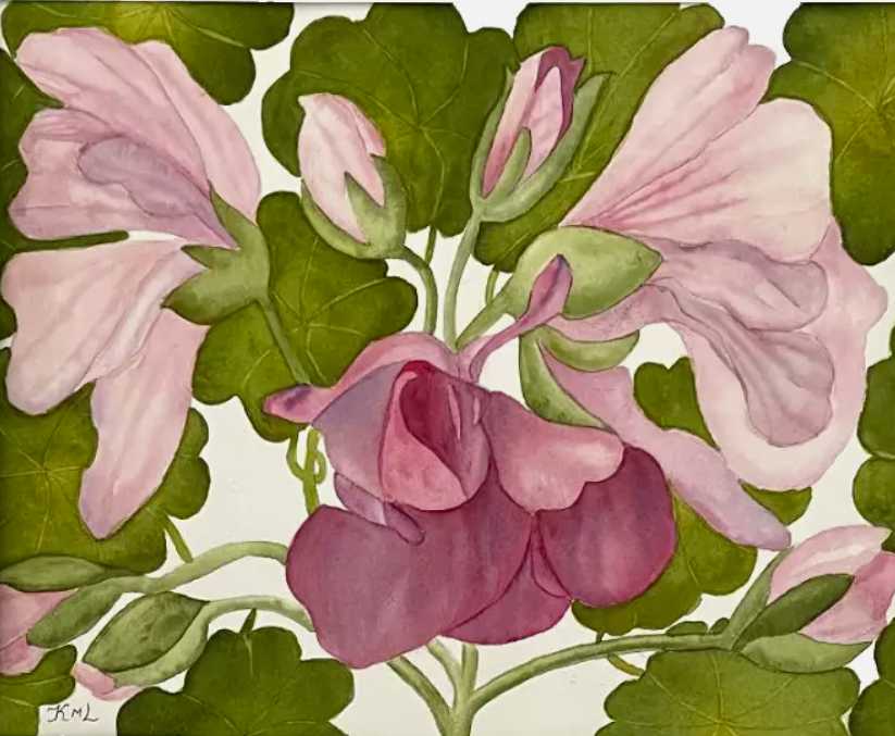 Painting Watercolor Flower Geranium Pink Purple