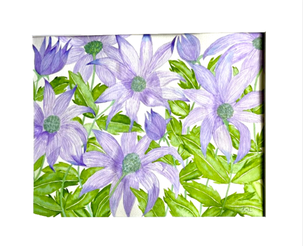 Painting Watercolor Flower Coneflower Purple Art