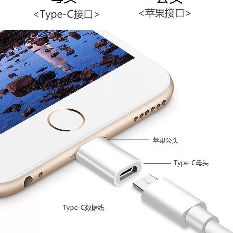 USB-C to Lightning / Micro-USB Adapter