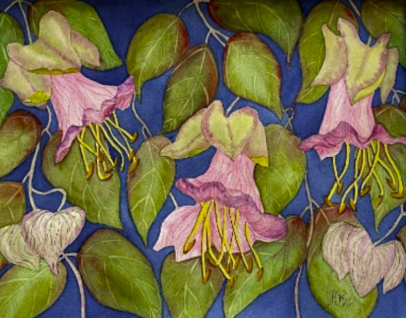 Painting Watercolor Flower Cathedral Bell Pink Art