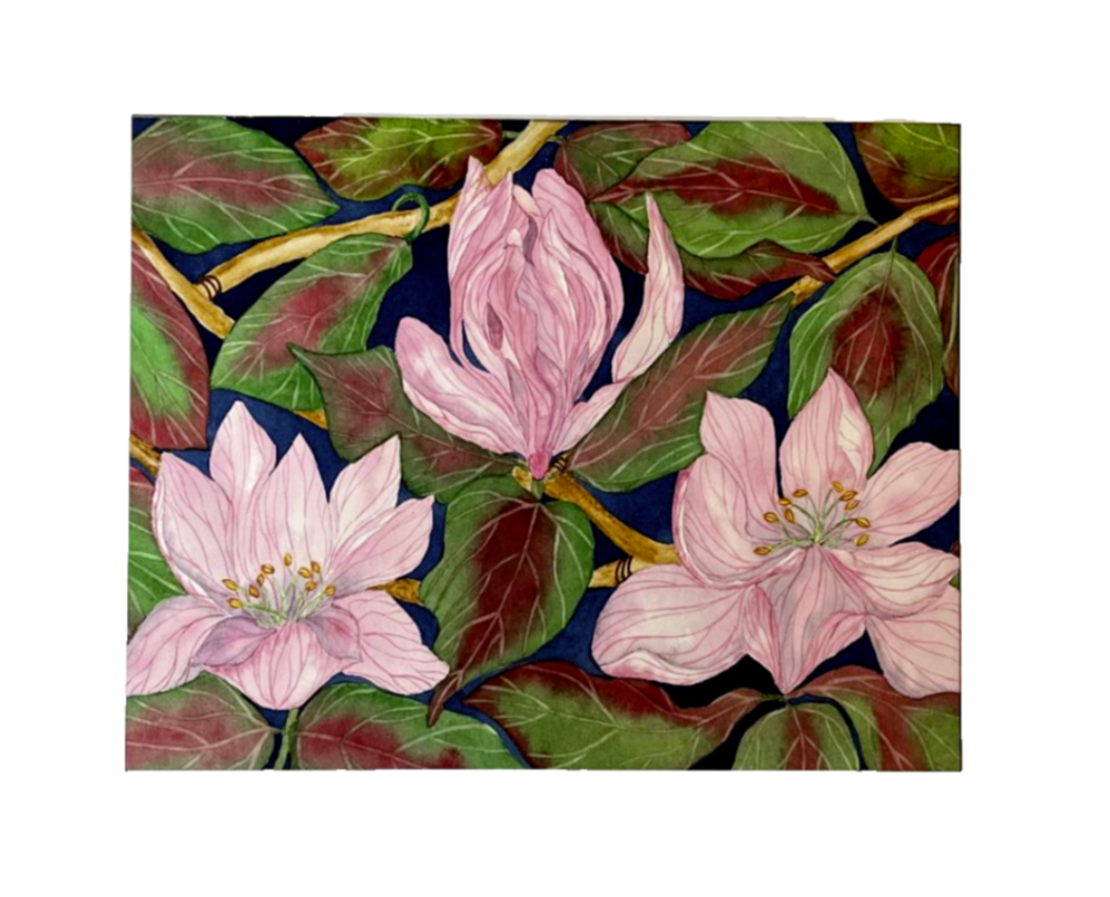Painting Watercolor Flower Magnolia Pink Art