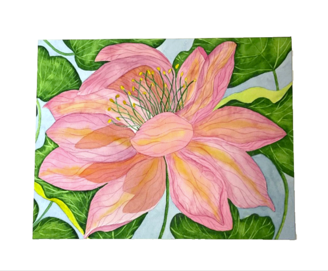 Painting Watercolor Flower Lotus Pink Coral Orange