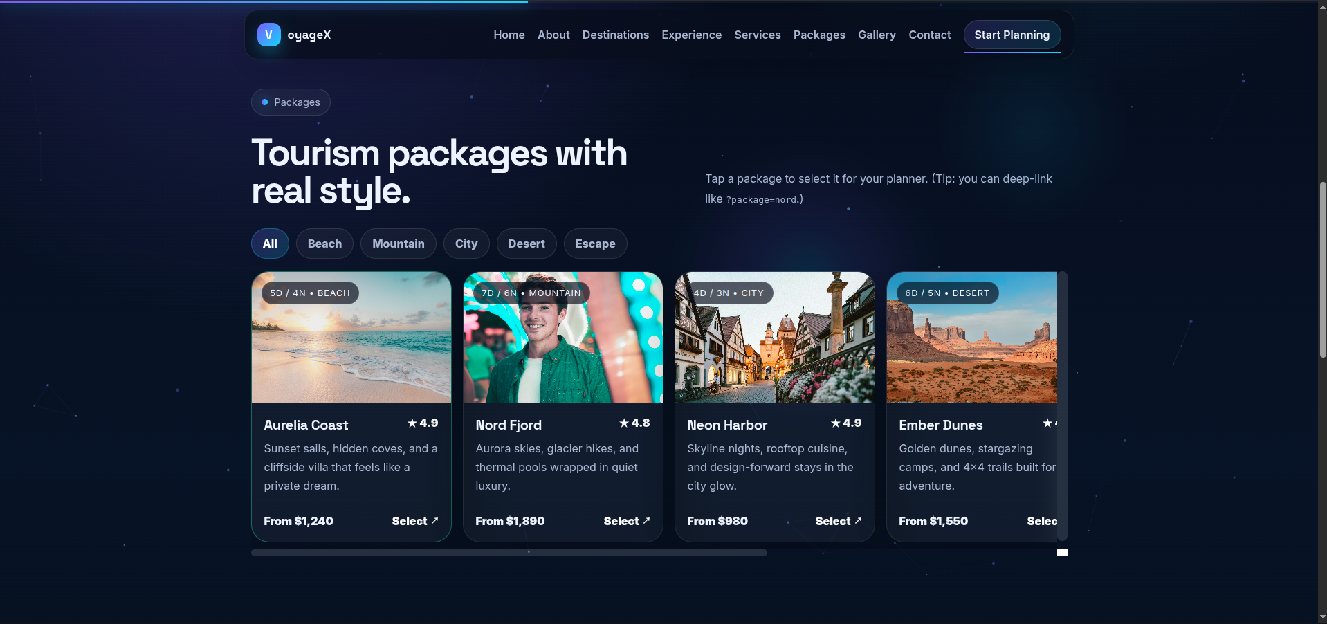 VoyageX Tourism