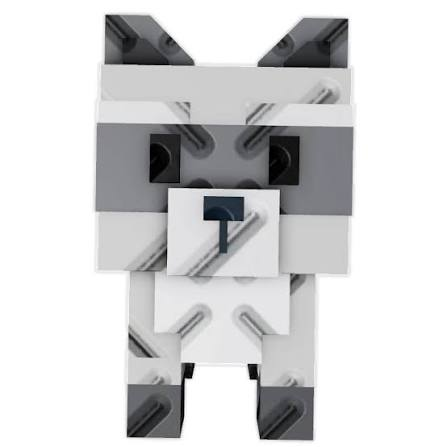 Raccoon