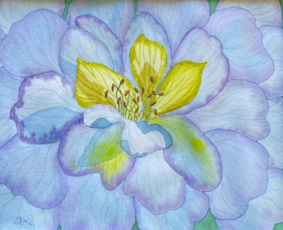 Painting Watercolor Flower Anemone Blue Purple Art