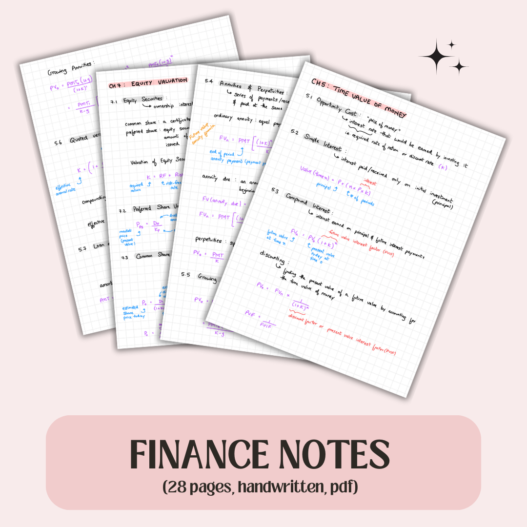 Introduction to Corporate Finance Notes, 28 pages