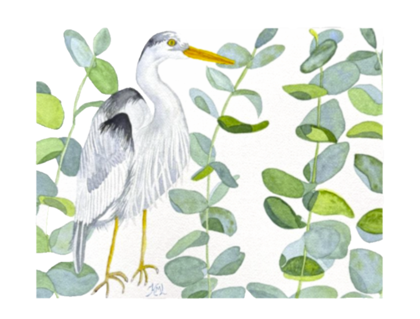 Painting Watercolor Heron Bird Eucalytus Leaves