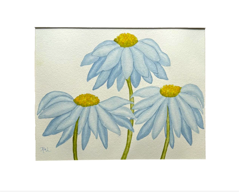 Painting Watercolor Flower Daisy Coneflower Blue