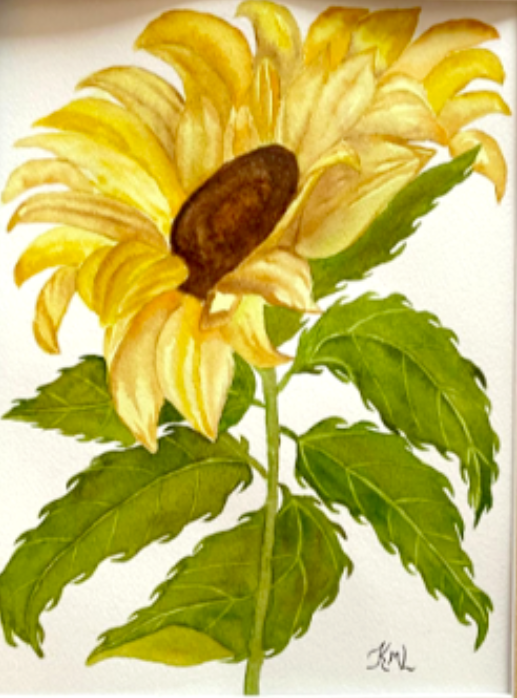 Painting Watercolor Flower Sunflower Yellow Brown