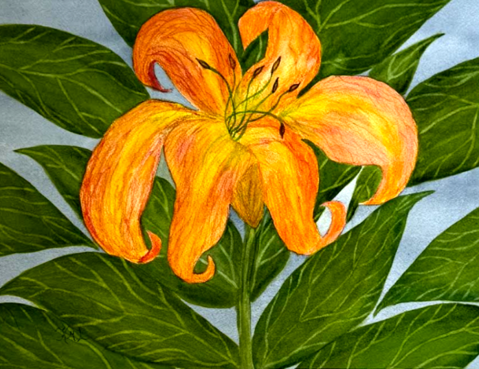 Painting Watercolor Flower Lily Orange Yellow