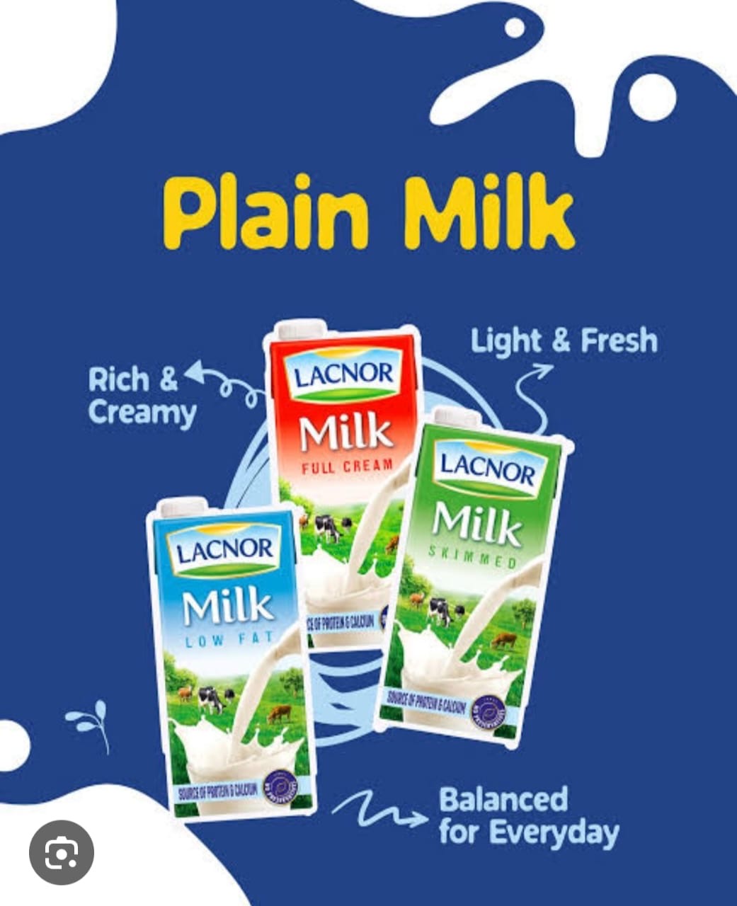 Plain Milk