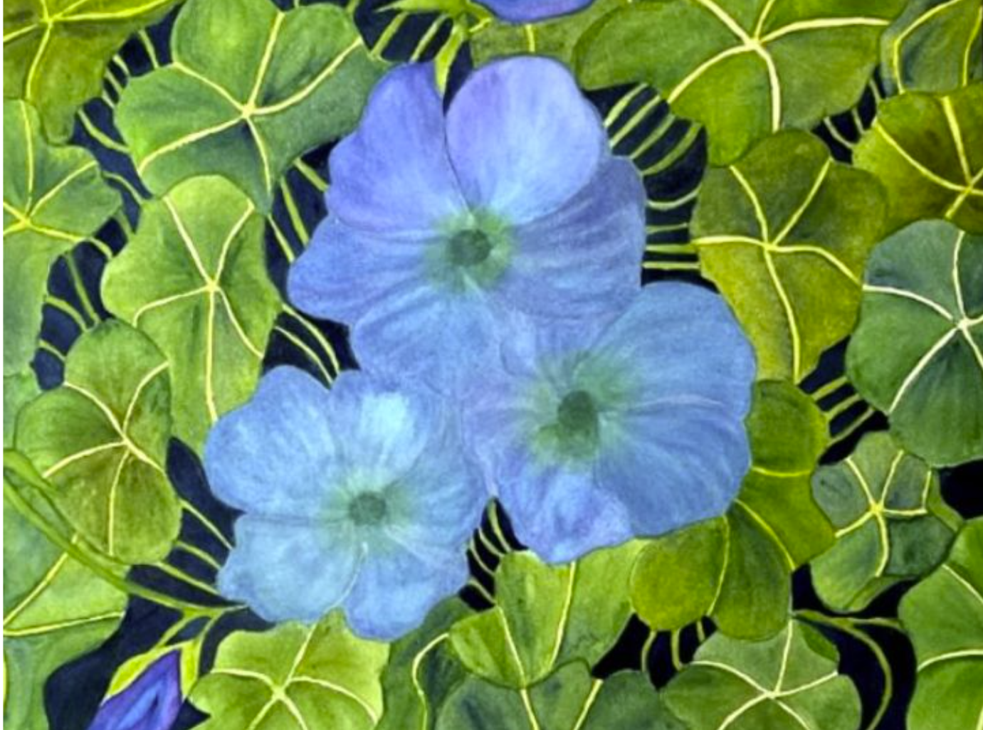 Painting Watercolor Flower Petunia Blue Purple Art