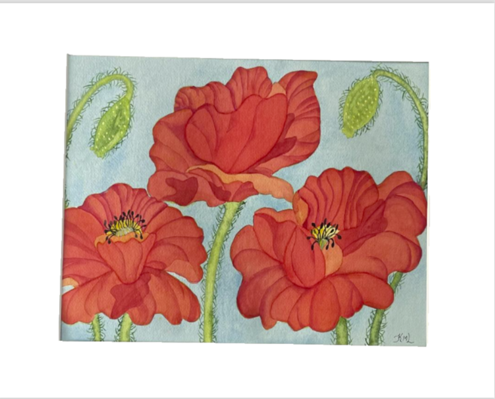 Painting Watercolor Flower Poppy Red Orange Art