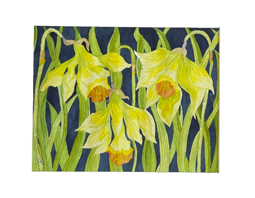 Painting Watercolor Flowers Daffodil Yellow Floral