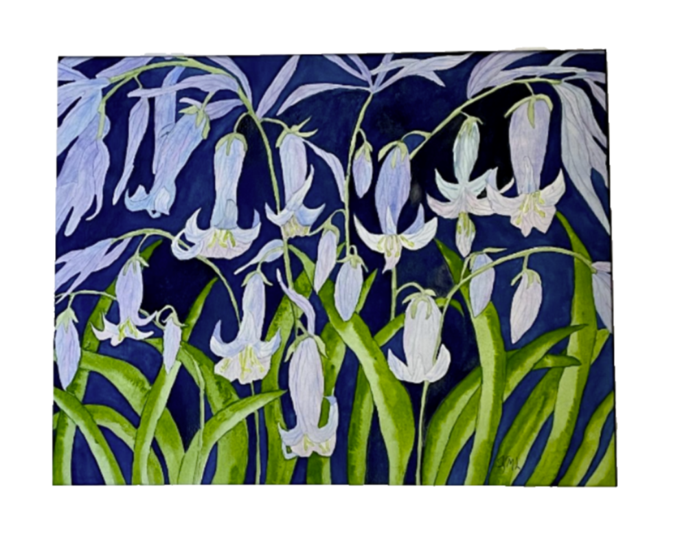 Painting Watercolor Flower Bluebells Blue Purple
