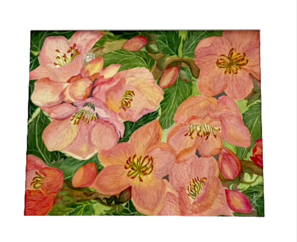 Painting Watercolor Flower Peach Coral Pink Orange