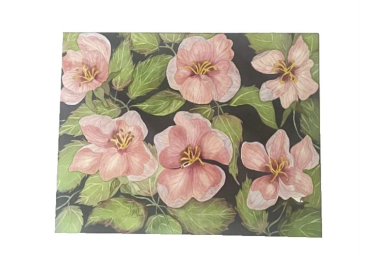 Painting Watercolor Flower Apple Blossom Pink