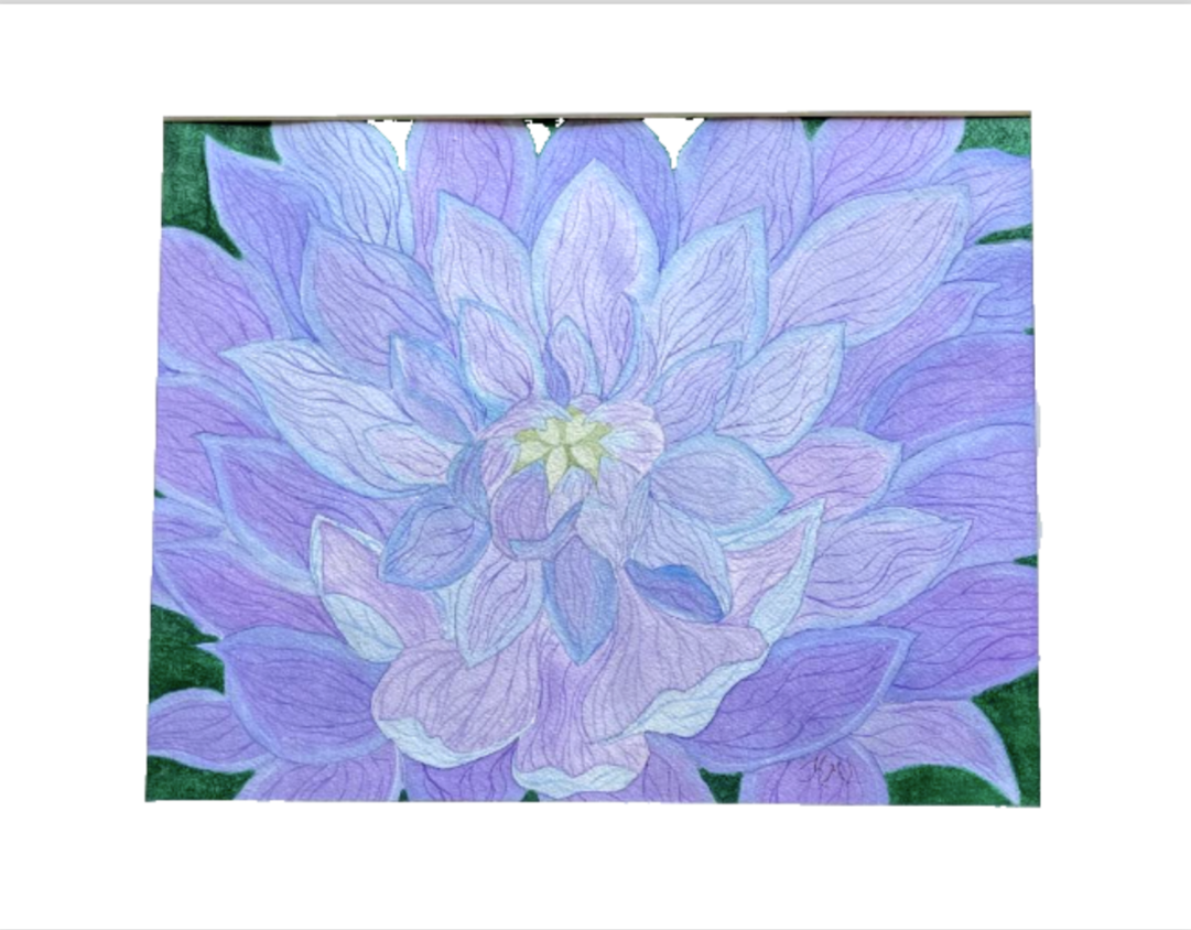 Painting Watercolor Flower Dahlia Purple Lavender