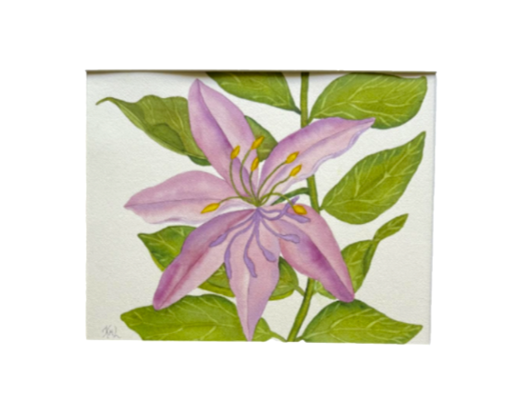 Painting Watercolor Flower Lily Pink Purple Floral